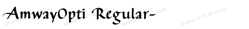 AmwayOpti Regular字体转换 AmwayOpti Regular字体转换